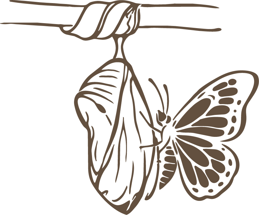 Vlinder komt uit de cocon